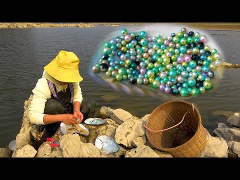 Picking up pearl mussels in the wilderness the pearls are