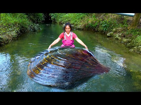 The river clam has just emerged from the dark river with