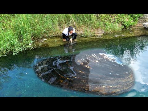 There are big river clams under the deep pool and we have