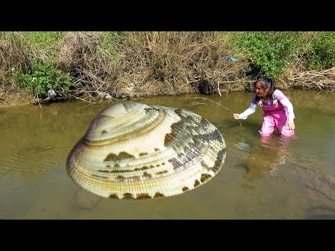 I found a beautiful pearl clam and opening the pearl made