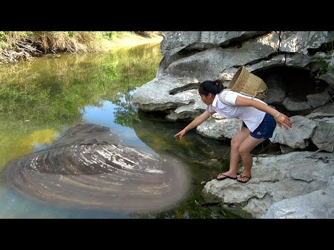 Seeing such a large pearl clam the beauty screamed and the