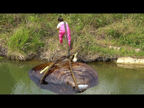 A big river clam reappears in the lake and the girl seizes