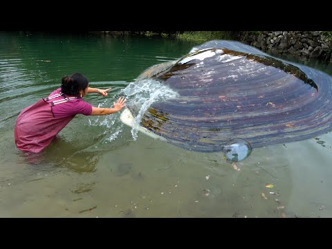 Discover the big river clam and take decisive action to