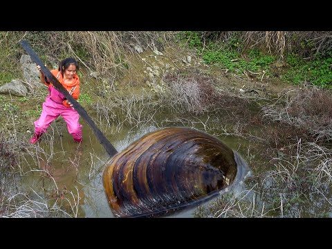 The clam is so big the beautiful woman came directly to
