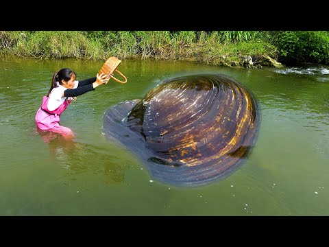This pearl clam has a big belly and is having some trouble