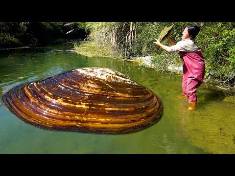 If you encounter a big river clam do this and you will
