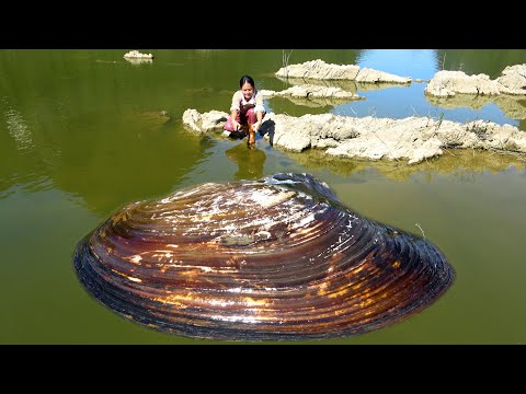 Choosing here is really good I found a huge pearl clam