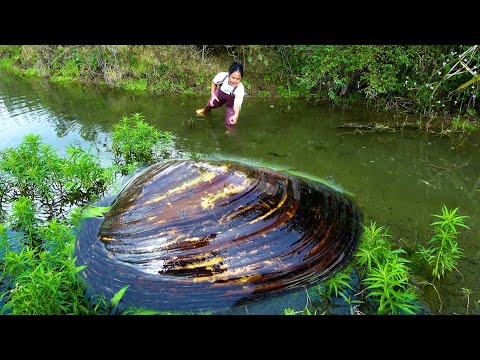I found the river clam that has been hidden for a long time