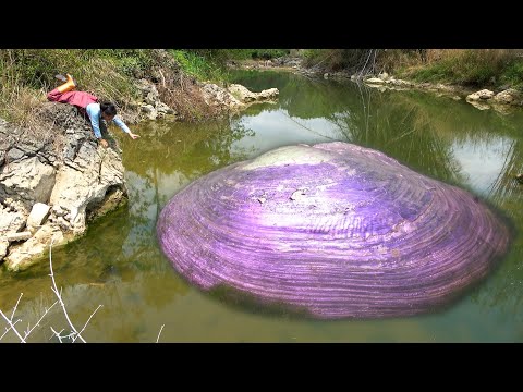 I noticed a purple light in the river which turned out to