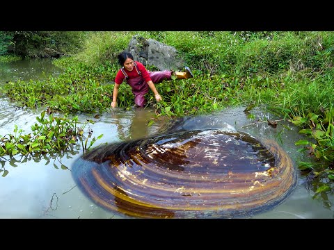 The more aquatic plants there are the more pearl clams