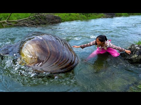 After floods large river clams are most likely to appear
