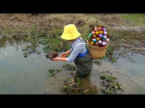 I didn t expect such a harvest from this small pond