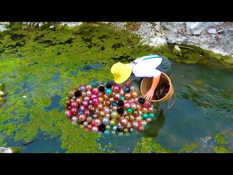 The clam was caught swimming here and its belly was full of