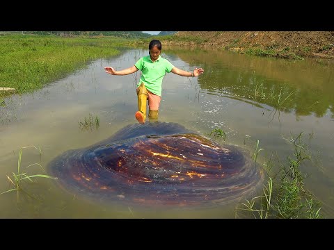 The big clam in the lake crawled out of the shallows and a