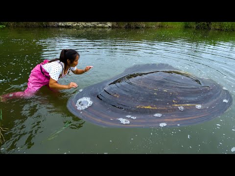 Found a big black shadow in the water up close it looks