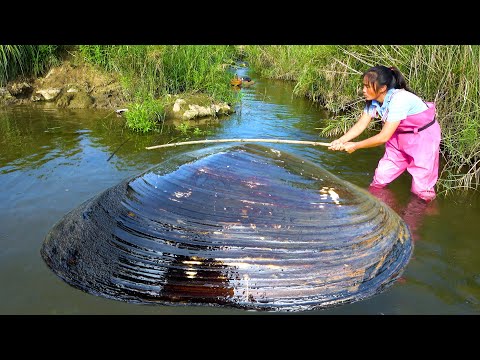 The river clams here are all big and each one has a plump