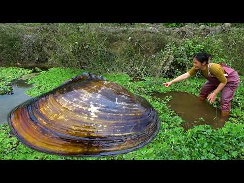 The clam crawled into the shallow water and the day of