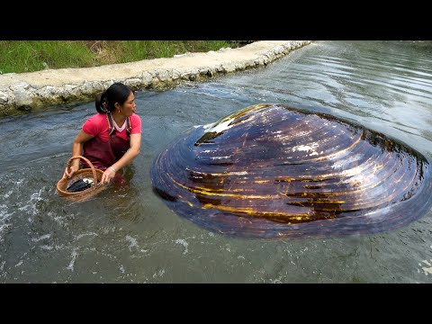 There is movement on the water surface it turns out to be a