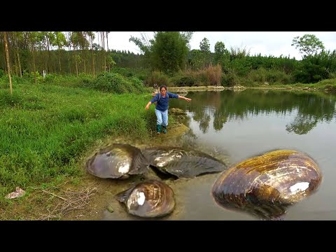 This place is rich in resources and the oversized pearl