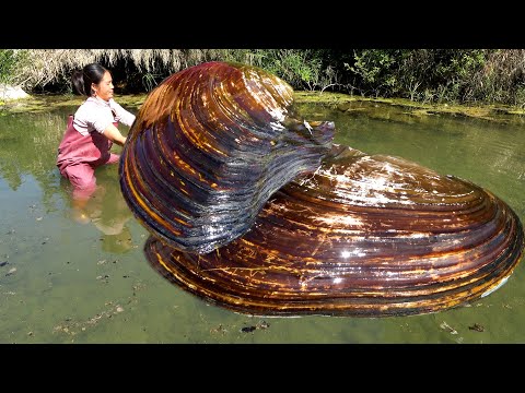 I m so happy to see the huge river clam Such a clam has