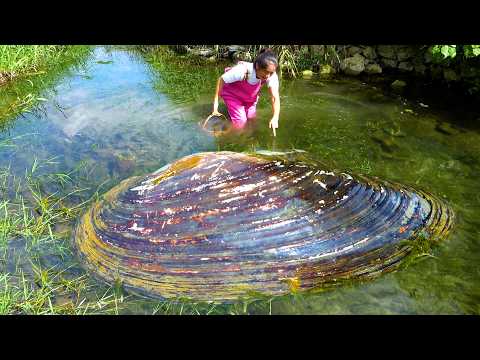 Unexpected harvest giant pearl clam