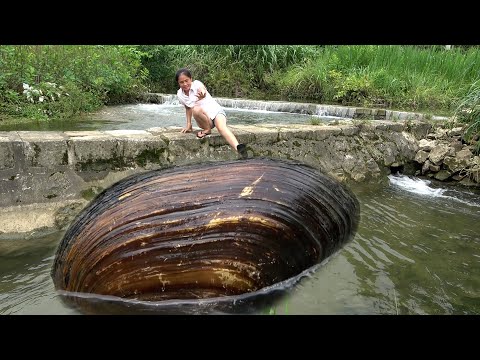 There is a Potamilus capax downstream and the beauty goes