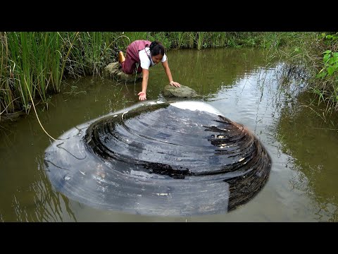 Encountering such a plump river clam it s hard to imagine