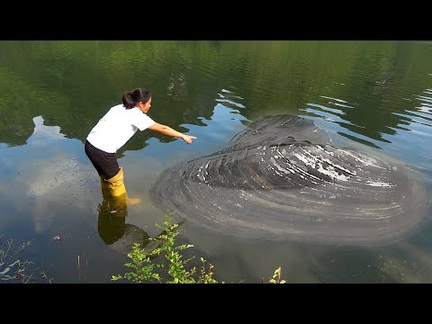 Potamilus capax appears in the reservoir and the beautiful