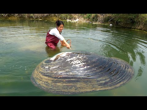 The water surface is bubbling and the clams are about to
