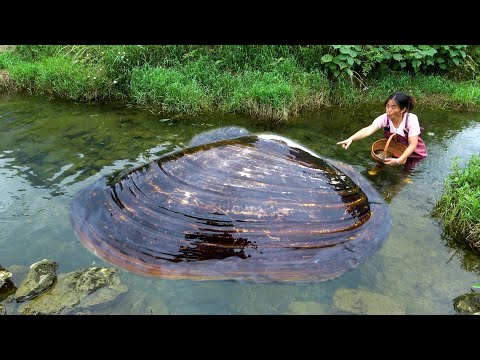 Come with me quickly the big river clam has come out