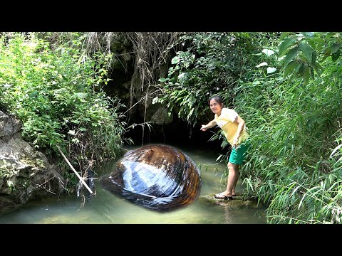 A big black clam surged out of the cave waiting for the