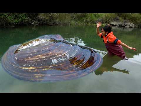 The big river clam is difficult to fly with its wings