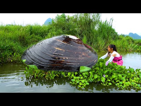 There are clams everywhere in the lake and the beautiful
