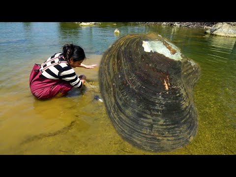 The clam is too exposed no wonder the beauty gets a lot of