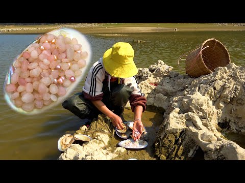 I picked up many large pink pearls today It s really
