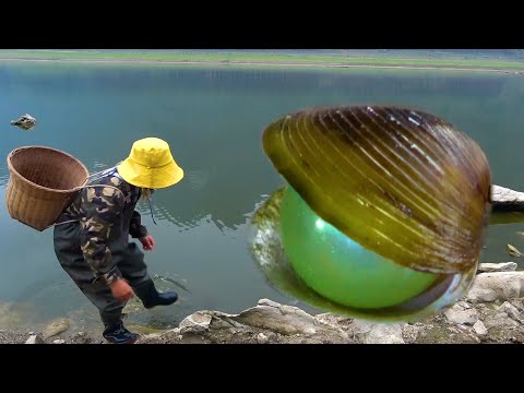 Searching for treasures in the reservoir suddenly stunned