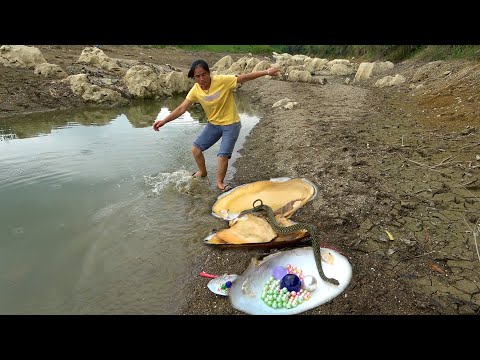 The special big clam and the appearance of colorful snakes