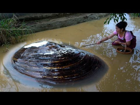 Beautiful woman goes down the Yellow River to dig for