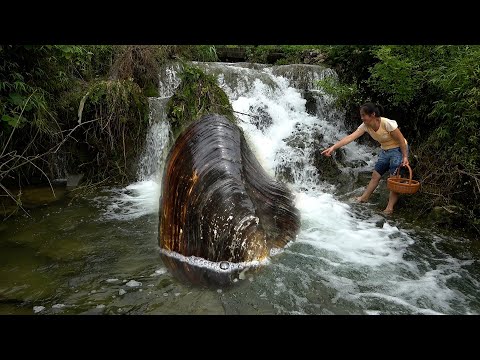 The clam wanted to climb up the waterfall but was just