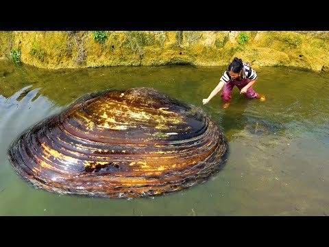 I witnessed the pearls in the wild river clams with my own