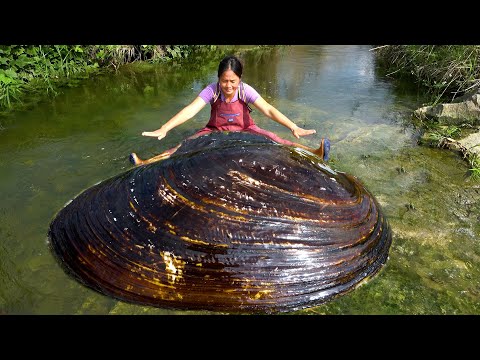 Only this kind of old river clam has beautiful pearls