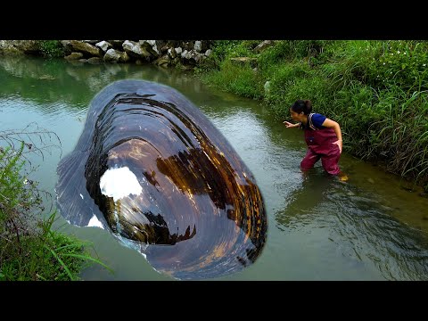 The beautiful woman gently approached the big river clam