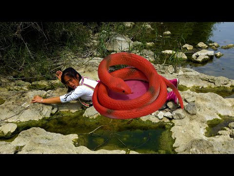 A beautiful woman picking out pearls meets a snake so