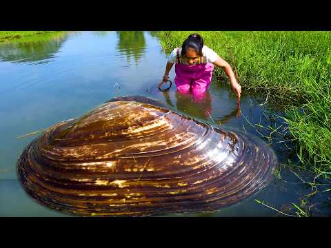 The place with the most clams is here there s something