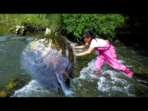 The water flow is too fast so big river clams are washed