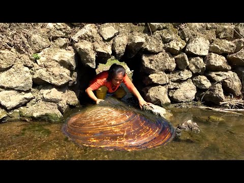 Some people say there are many big clams inside from here