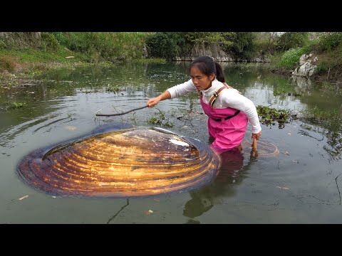 A big river clam was found in the middle of the river and