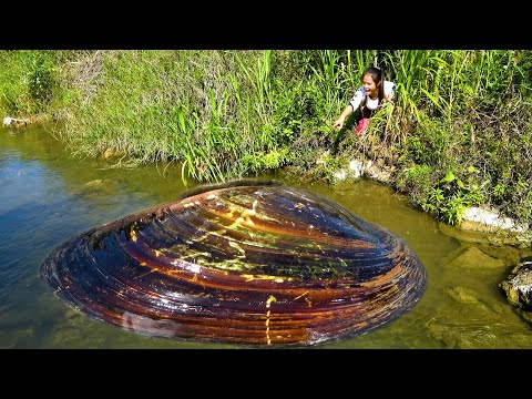 Now it s stable I found a bulging river clam