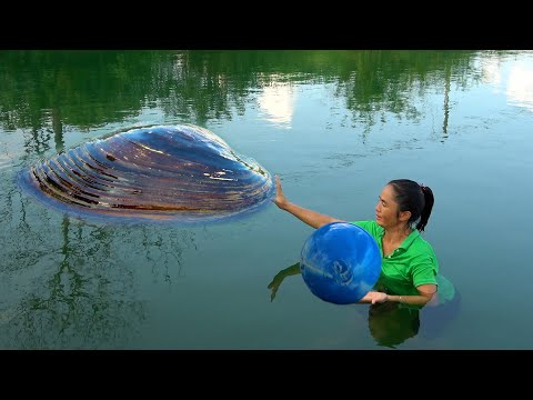 Today I found a deep pool with many pearl clams inside