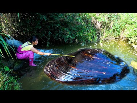 The sound kept coming from the water it turned out to be a